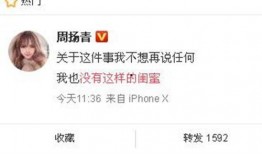 李宝敏最新爆料新闻,揭秘娱乐圈惊人内幕