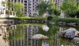 六安碧桂园最新爆料信息,揭秘全新规划与亮点抢先看